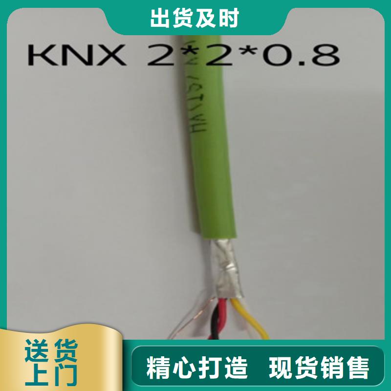 六安CC-LINK FANC-SB紫色通讯电缆欢迎咨询