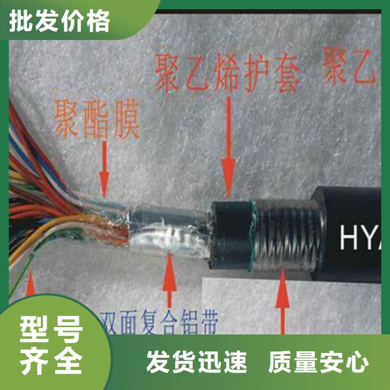 STP-120镀锡通讯电缆1对0.2专注细节使用放心