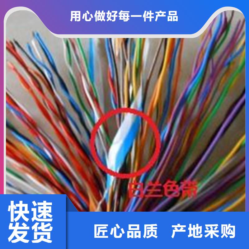 对绞通讯电缆RS4852对0.4优质材料厂家直销