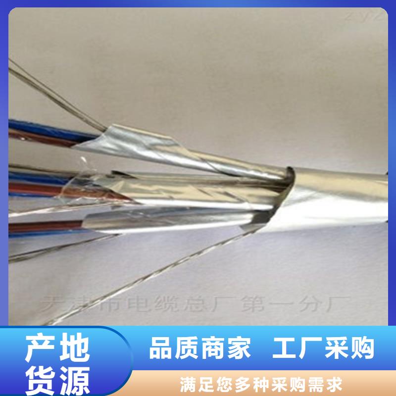 沧州耐火计算机电缆NH-DJYVP3 16X2X2.5