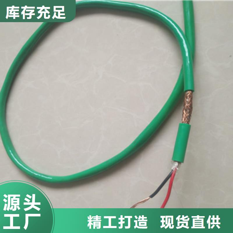 铠装计算机电缆JYPV-ZB材质好源厂直销