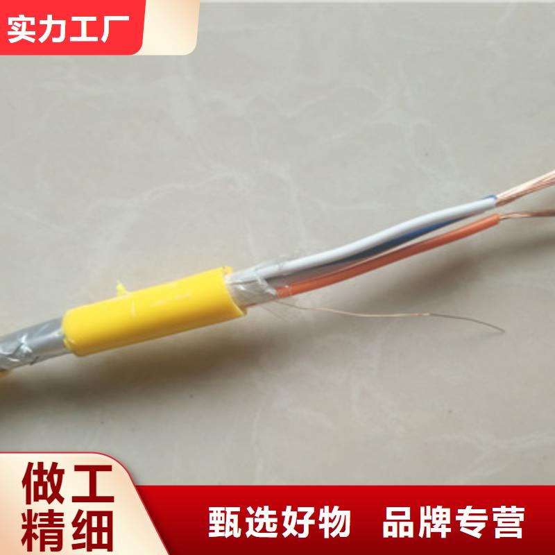 南宁耐火计算机电缆NH-DJYPV22 批发采购