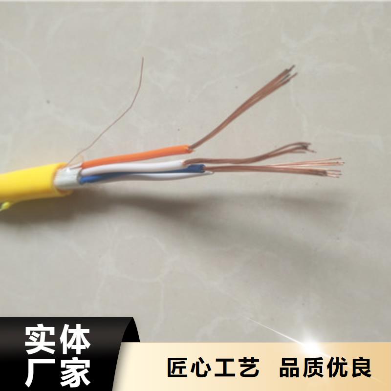 平凉耐火计算机电缆NH-DJYJP2VR质量可靠