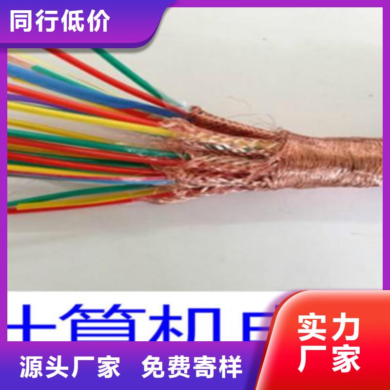 耐火计算机电缆NH-DJVP3V热销货源源头厂家来图定制
