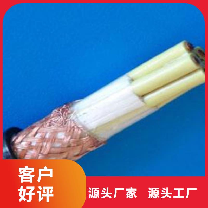 贵州耐火计算机电缆NH-DJVP3V22品质保证