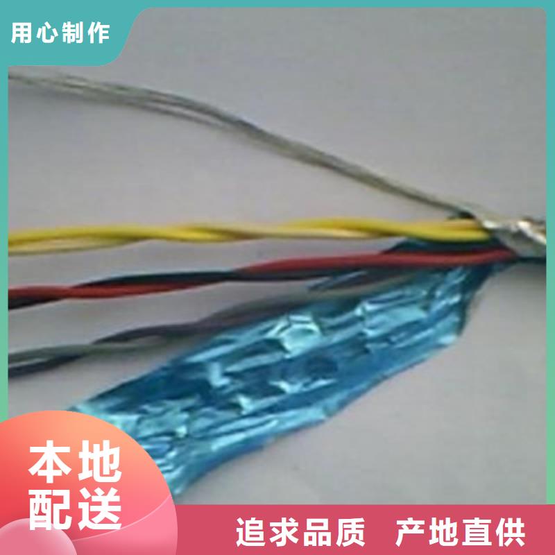 武汉阻燃计算机电缆ZR-DJYPV22 、阻燃计算机电缆ZR-DJYPV22 参数