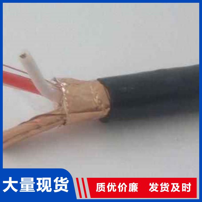 三亚生产铠装计算机电缆DJVVP2-22的销售厂家