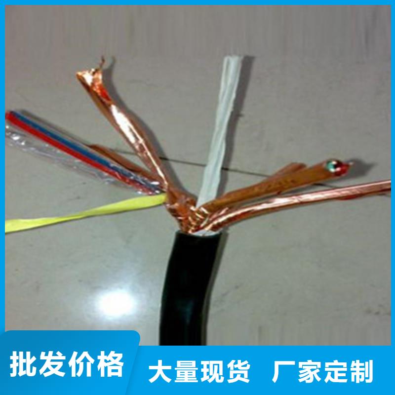 淮北铠装计算机电缆DJVVPR2X2X1.0
