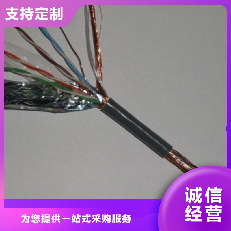 乐山DJFP2FP2耐高温计算机电缆品牌厂家