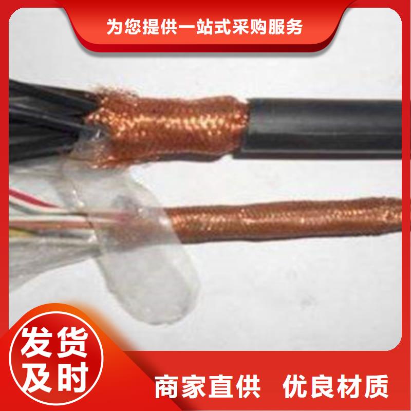 计算机电缆DJFP2FRP2高温批发价从厂家买售后有保障