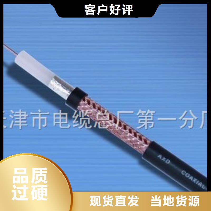 海北SYV22铠装射频同轴电缆价格-定制_天津市电缆总厂第一分厂