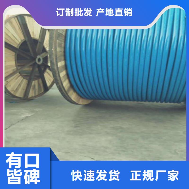 荆州定制耐火射频同轴电缆NH-SYV厂家