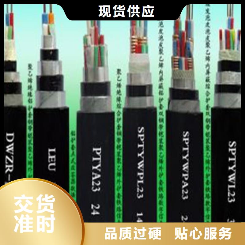 信号专用PZYVV22铠装电缆多种规格供您选择设备齐全支持定制
