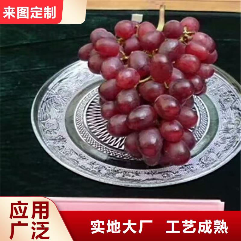 天水红宝石葡萄苗生产厂家欢迎致电用心做产品
