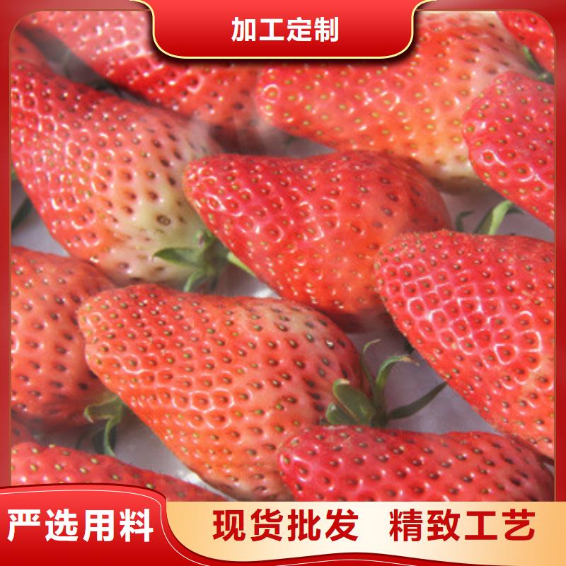 狮山镇香野草莓苗公司诚信为本