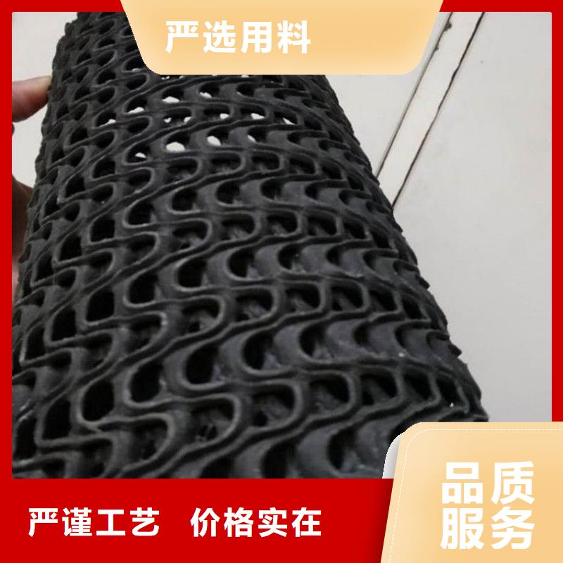 江苏徐州网状硬式透水管塑料曲纹网状