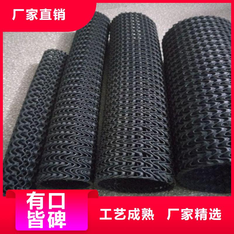 广东揭阳硬式透水管直径200塑料