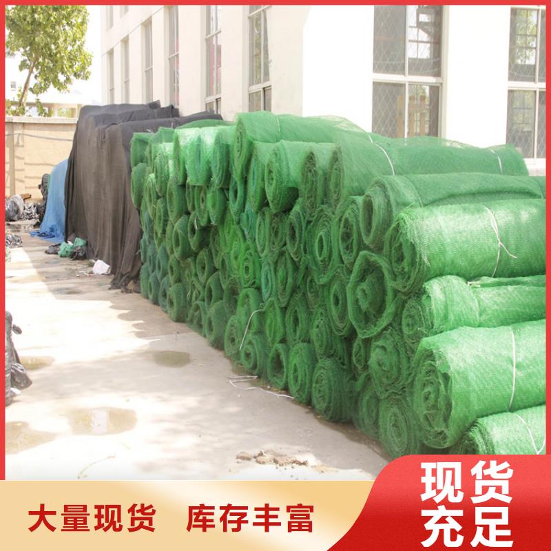 福建龙岩三维土工网垫绿化塑料