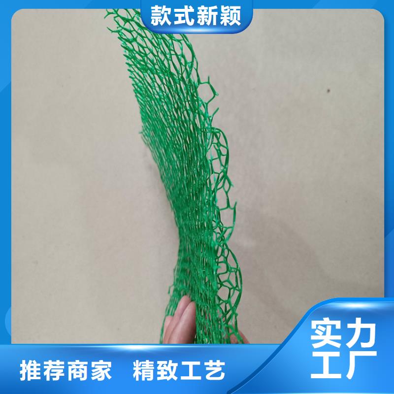 海南昌江县EM5塑料三维植被网厂家新品