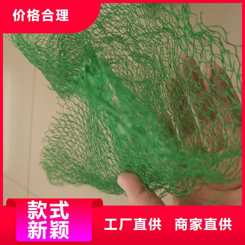 海南琼海市塑料加筋三维土工网垫拒绝差价