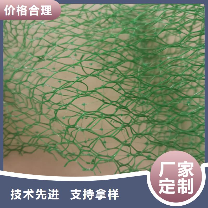 上海三维护坡植草网垫草皮固土