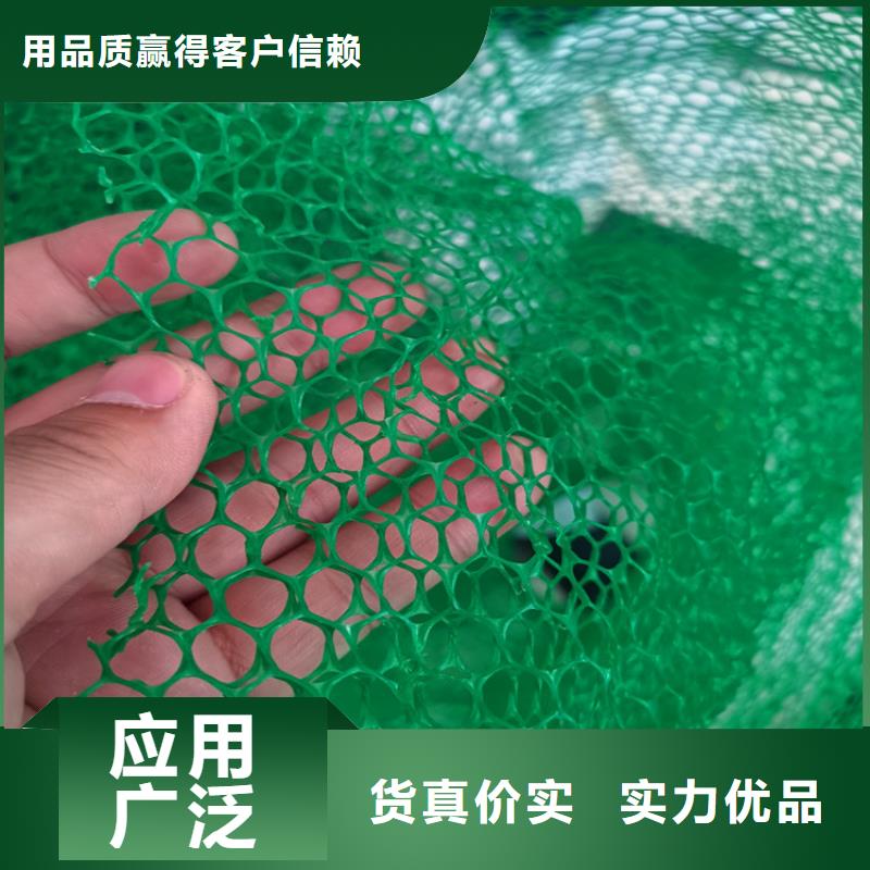 加筋EM5三维固土网垫保障产品质量