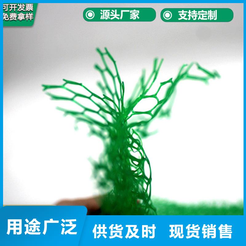 安徽阜阳三维护坡植草网垫草皮绿化