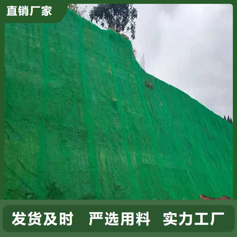 阳泉市边坡绿化三维土工网垫