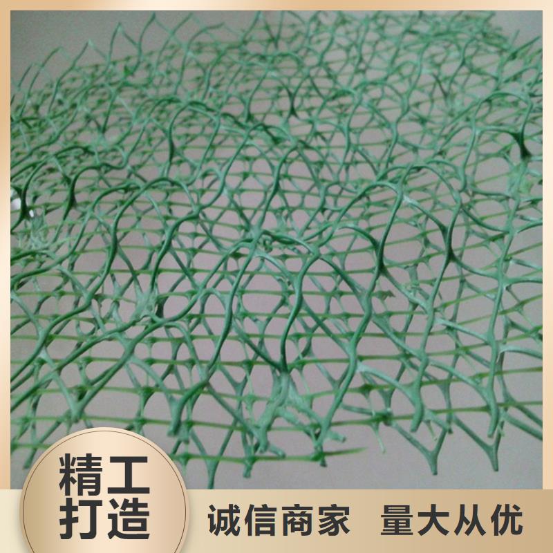 EM3塑料三维植被网来图定制量大从优