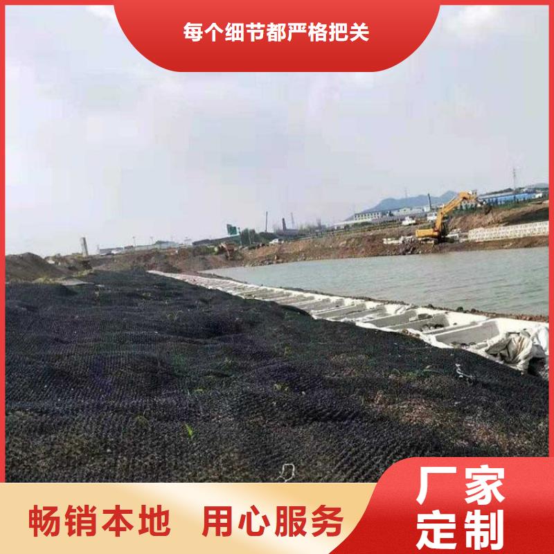 广东阳江生态水土保护毯河道护坡柔性生态