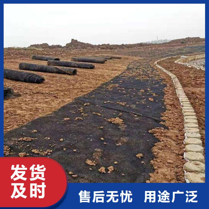 ​海南昌江县三维水土保护毯发货及时按需设计