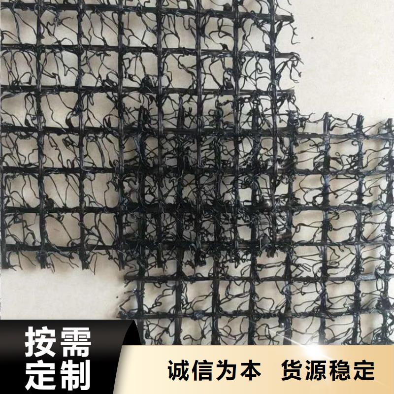 广东水土保护毯A20聚酰胺PA6