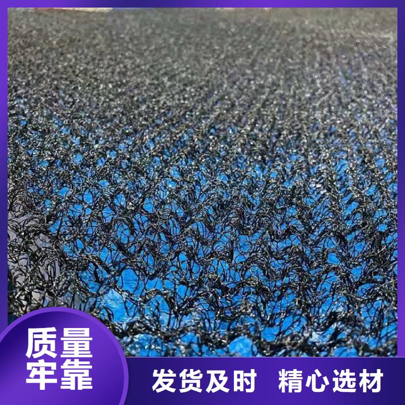 海南屯昌县PA6聚酰胺柔性生态水土保护毯本地制造商