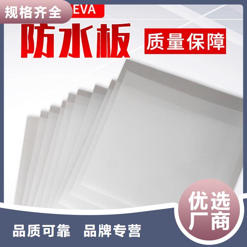 EVA防水板供货当地生产厂家