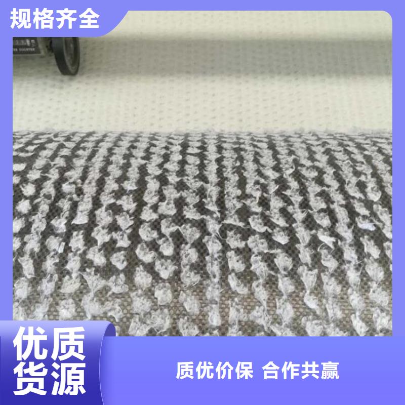 天然钠基膨润土防水毯专业生产制造厂