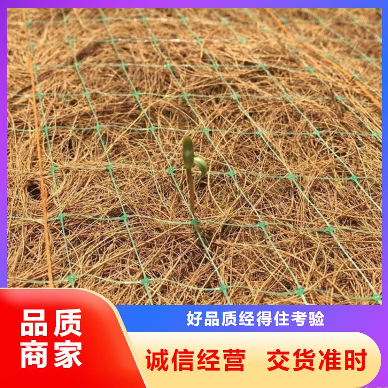海南澄迈县护坡植被植草毯销售定制速度快工期短