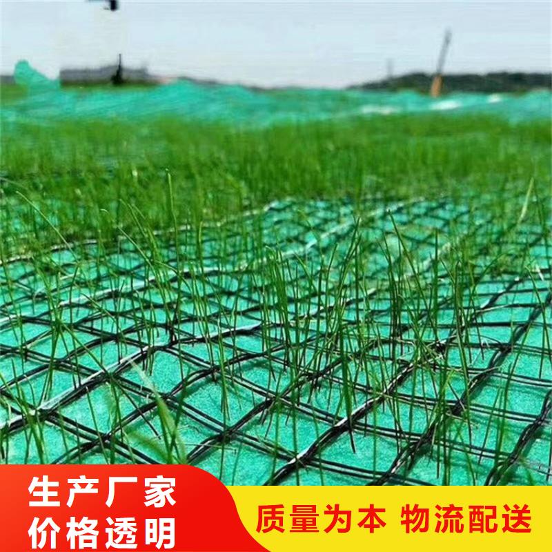 广东东莞植物纤维草毯市场批发