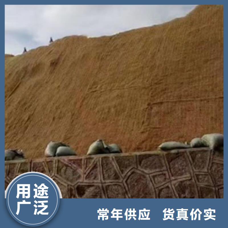 贵州黔南椰丝绿化毯施工图片
