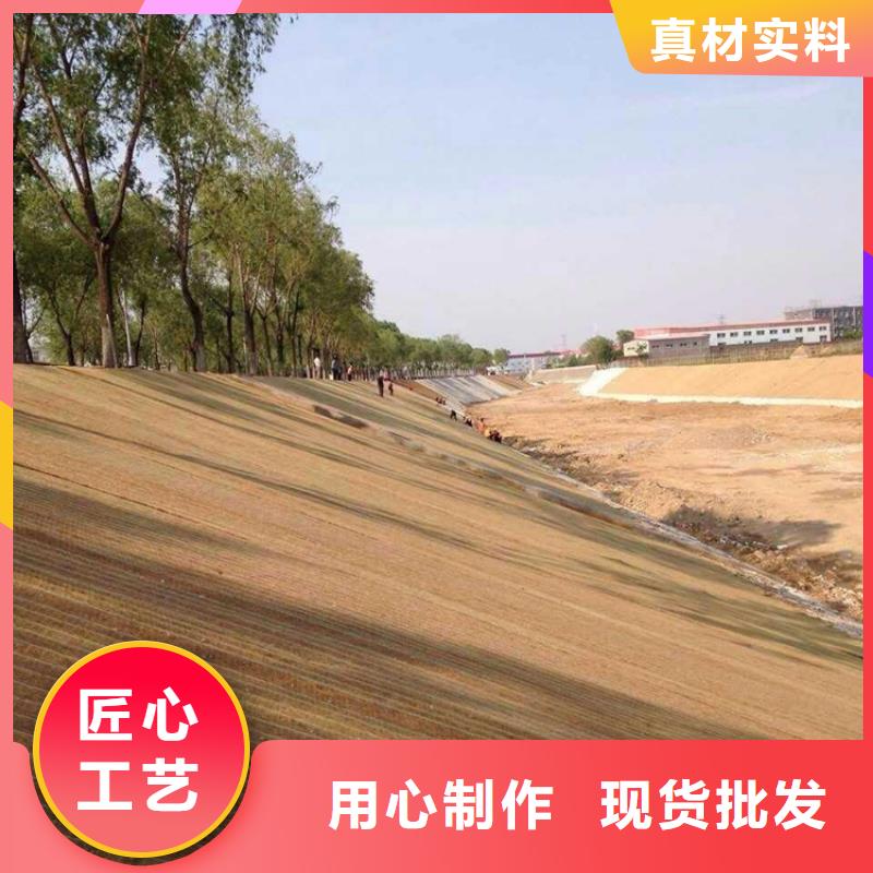 广东中山绿化生态毯可定制