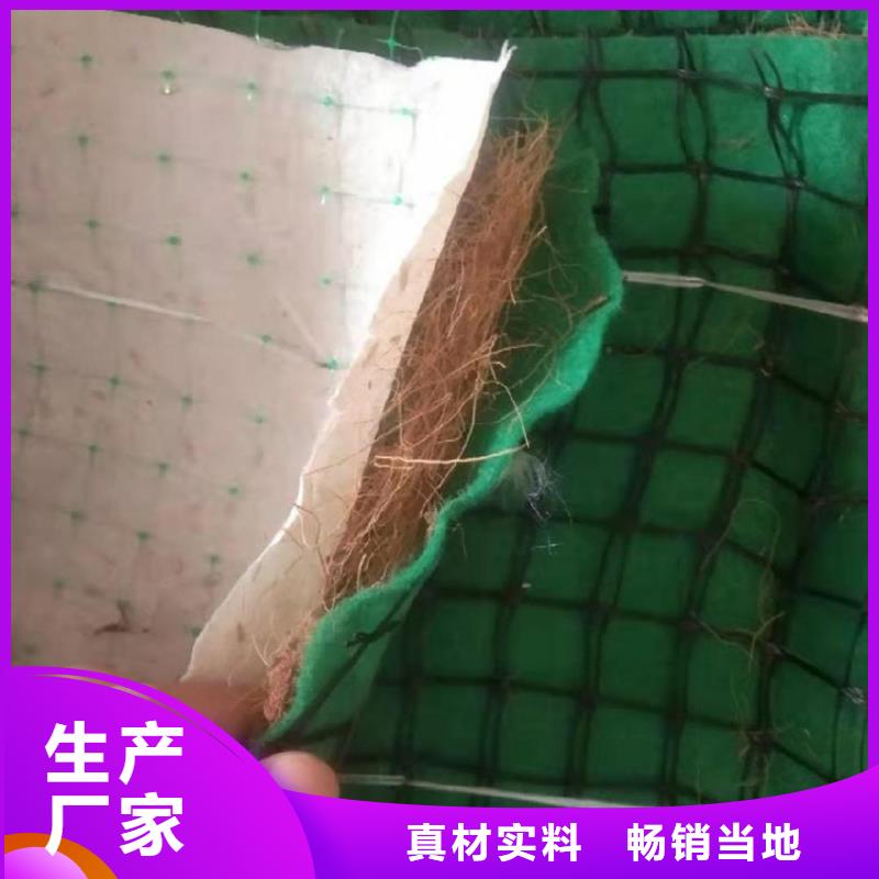 广西桂林水保抗冲生物毯