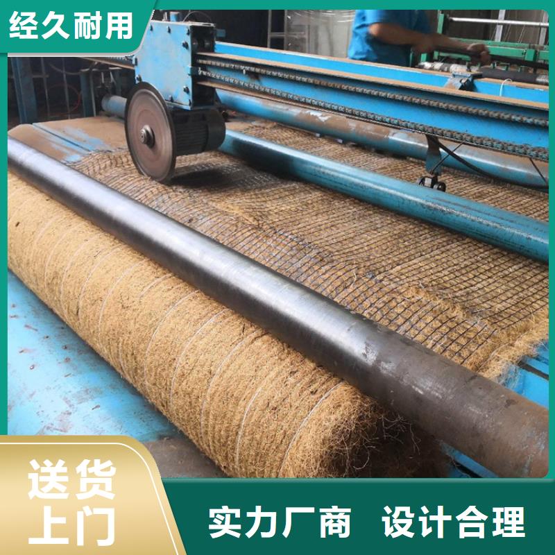 乐东县护坡植被植草毯当地生产商