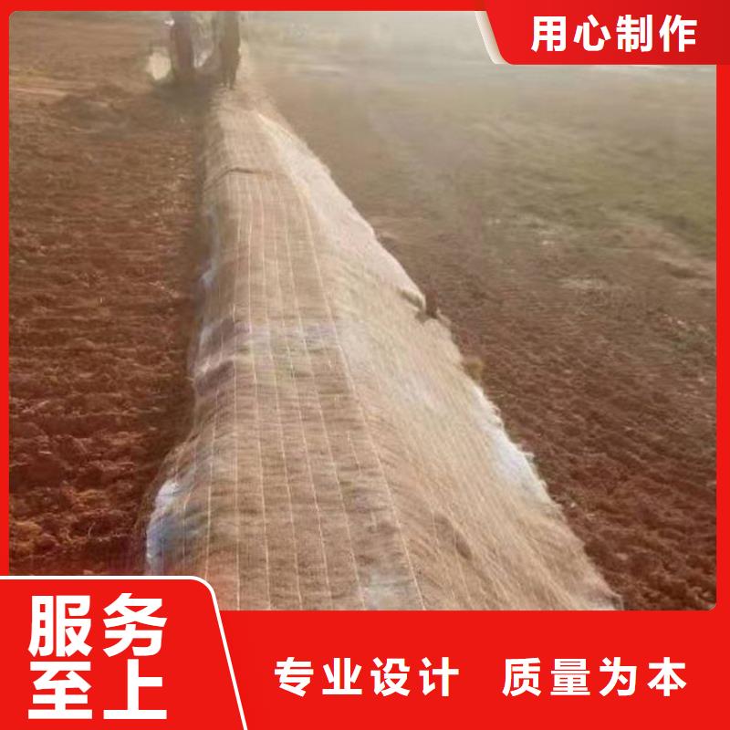 甘肃张掖护坡植物纤维毯市场批发供应