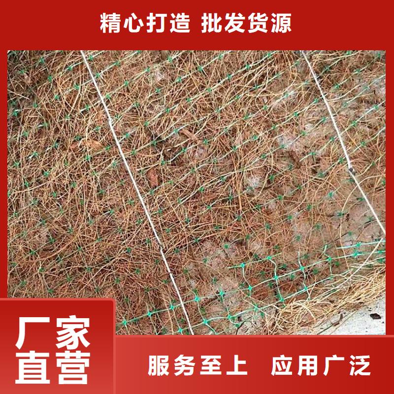 广东东莞植物纤维毯水保加筋椰丝毯