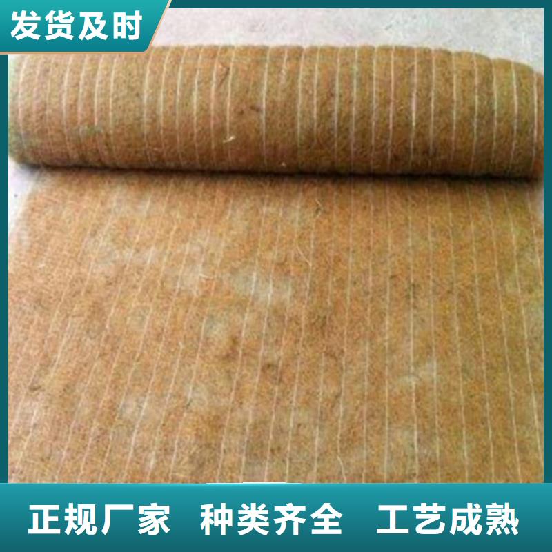 椰丝植生毯测试参数国标检测放心购买