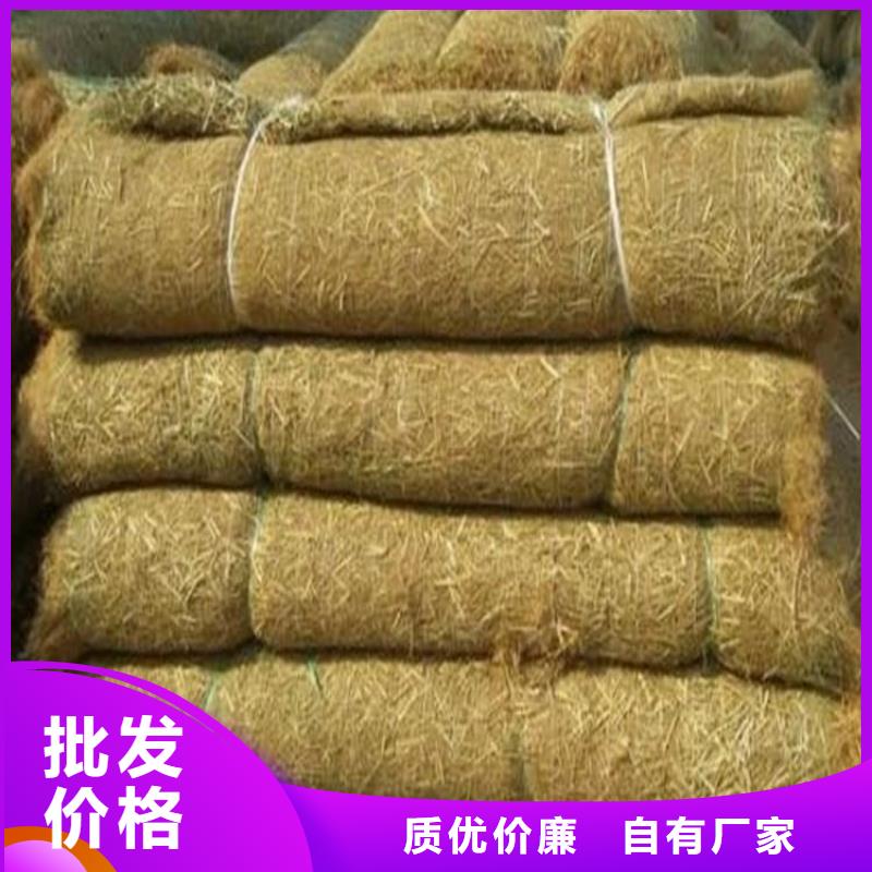 江西赣州生态植物防护毯椰丝植被垫