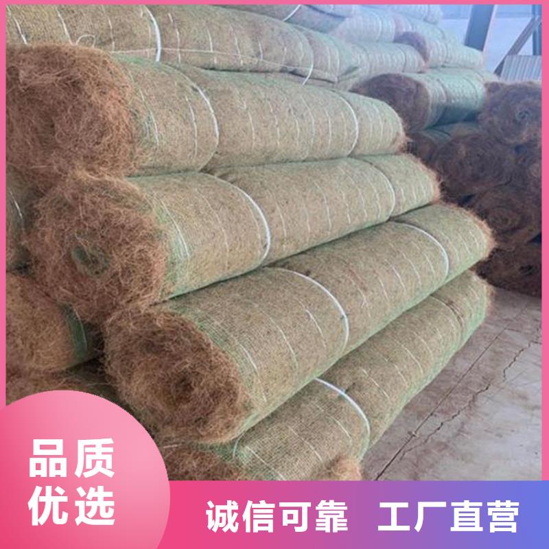 邢台市生态植物防护毯护坡生态草毯