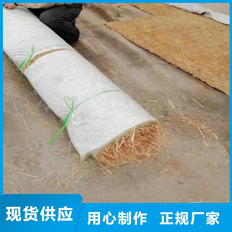 内蒙古包头椰丝植生毯 植物生态垫