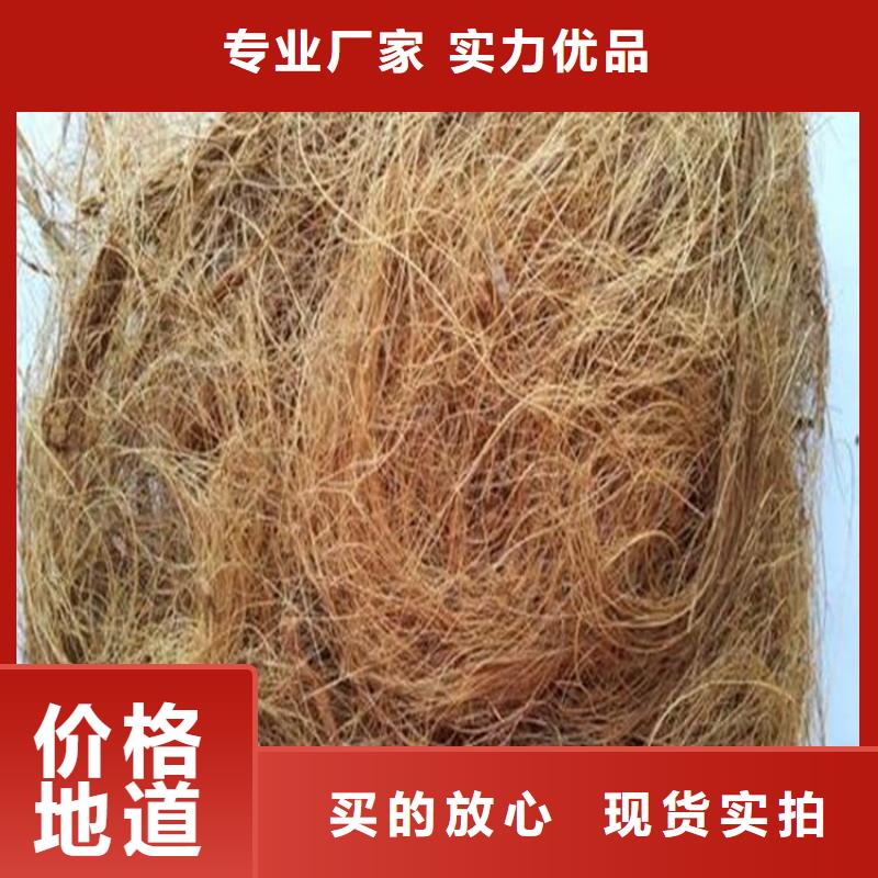 内蒙古锡林郭勒椰丝绿化保护毯源头供应商