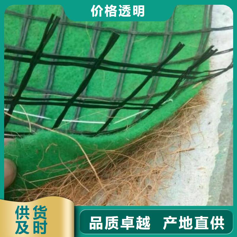 护坡植被植草毯纤维植生毯核心技术