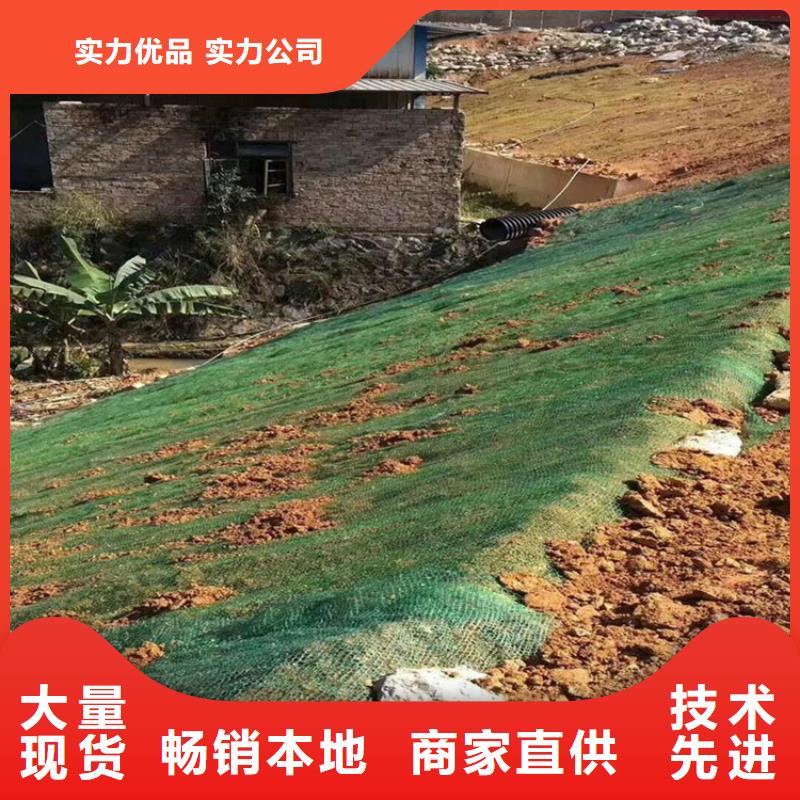西藏日喀则护坡植被植草毯新闻资讯